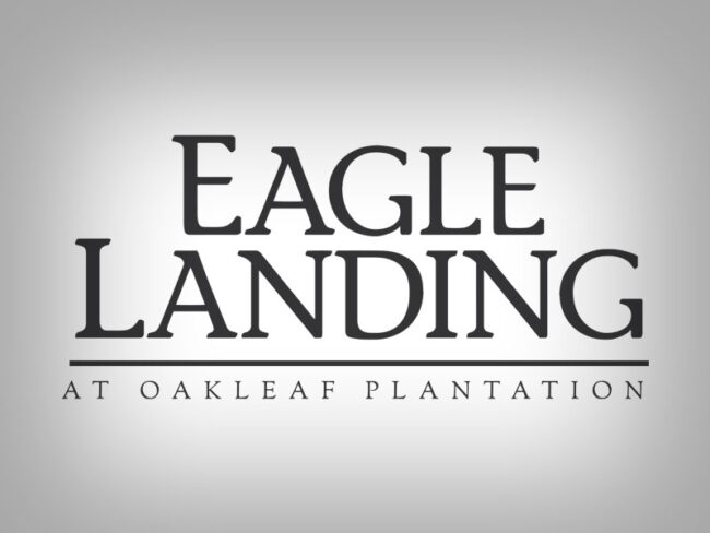 eagle-landing